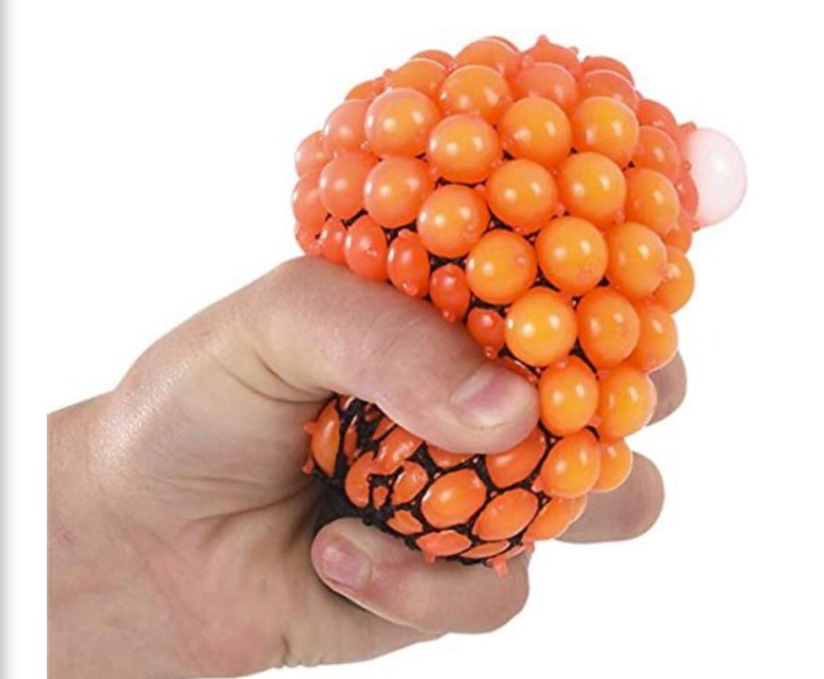 Squishy Mesh Ball Sensory Toy